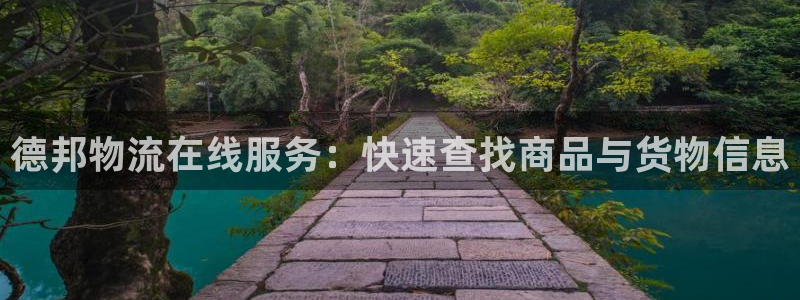 麻将1狗子28：德邦物流在线服务：快