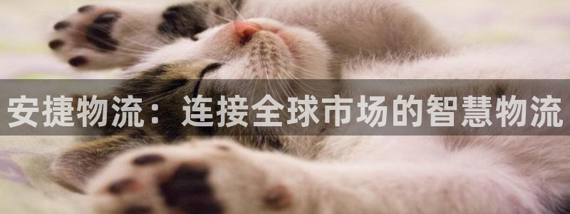自行车狗子28是什么意思