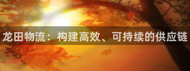 狗子28加拿大pc预测