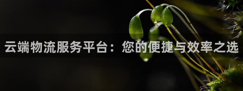 狗子28加拿大技巧：云端物流服务平台