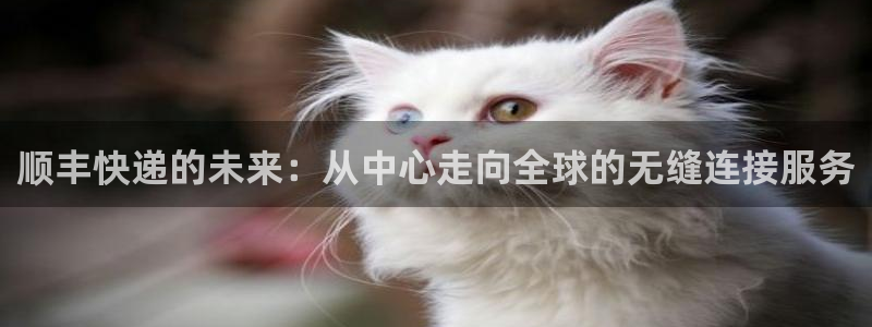 狗子28口戒指是多大