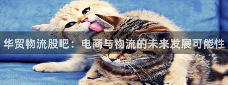 狗子28退款教程：华贸物流股吧：电商