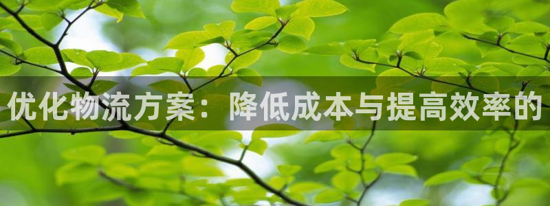 狗子28网站怎么注册：优化物流方案：