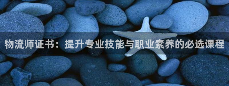 狗子28官方网站预测