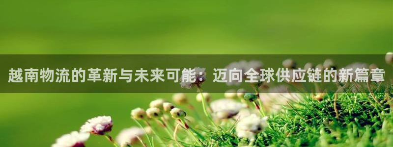 狗子28代理落网：越南物流的革新与未