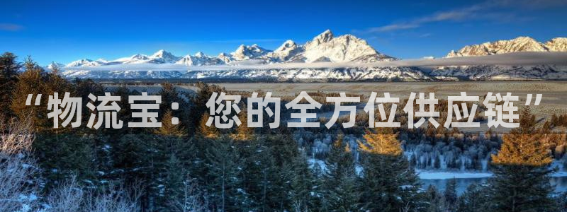 狗子28黑吗