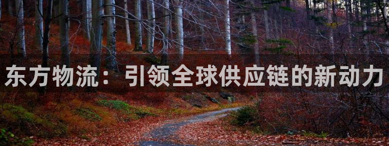 狗子28官网入口南宫：东方物流：引领全球供应链的新动力