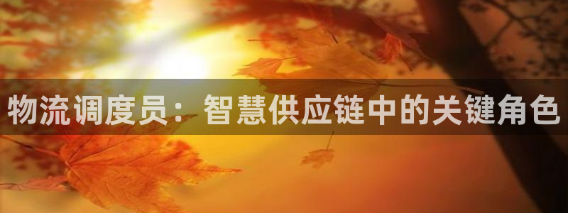 狗子28官网下载链接是什么