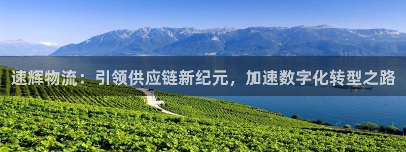 pc狗子28怎么注册：速辉物流：引领