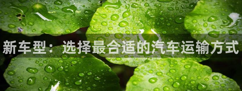 南宫狗子28官网版：新车型：选择最合