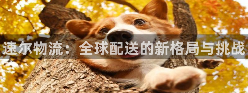 狗子28昵称：速尔物流：全球配送的新
