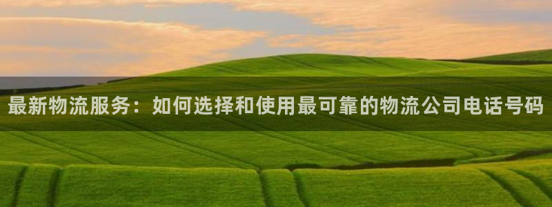 狗子28电子：最新物流服务：如何选择