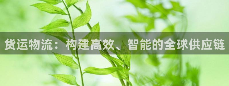 狗子28登录用户名登录不上：货运物流