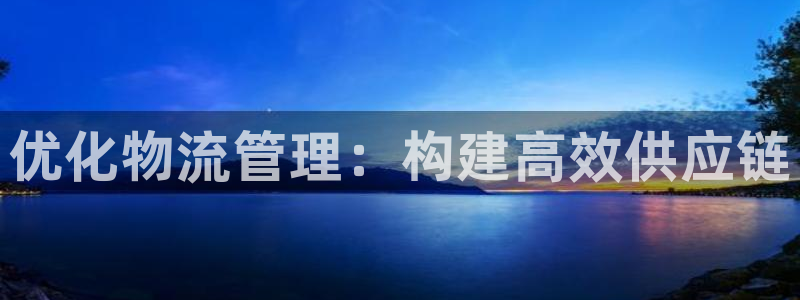 狗子28充值不处理怎么办：优化物流管