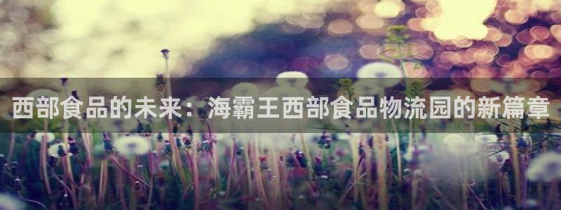 狗子28怎么注册游戏名字：西部食品的