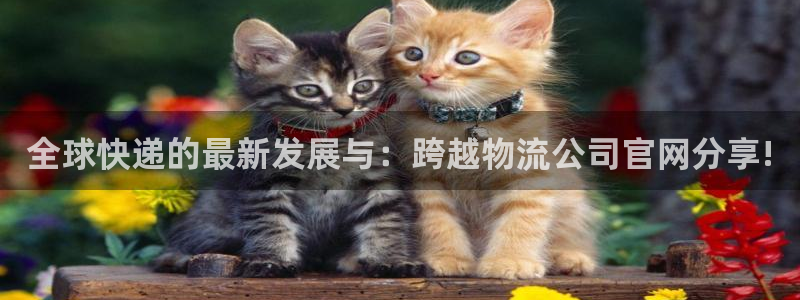 狗子28模拟：全球快递的最新发展与：