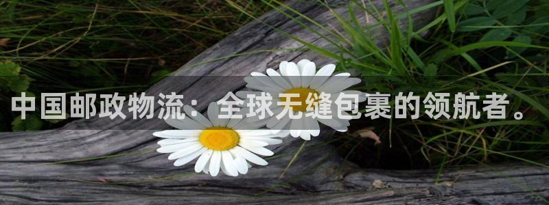 狗子28下载二维码怎么弄：中国邮政物