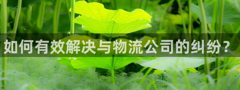 狗子28官网入口pc正版：如何有效解