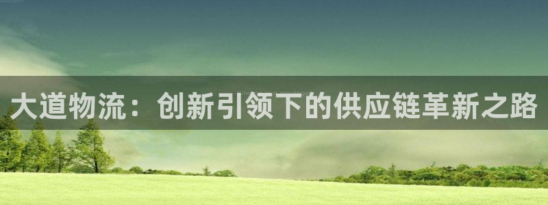 狗子28的平台：大道物流：创新引领下