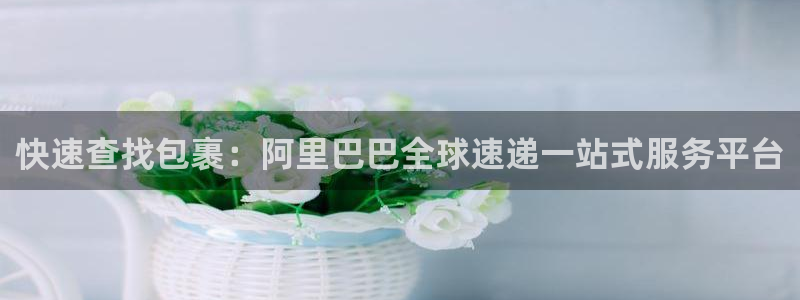 狗子28p扣除是什么意思：快速查找包