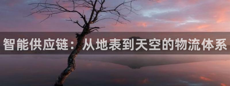 狗子28百度百科：智能供应链：从地表