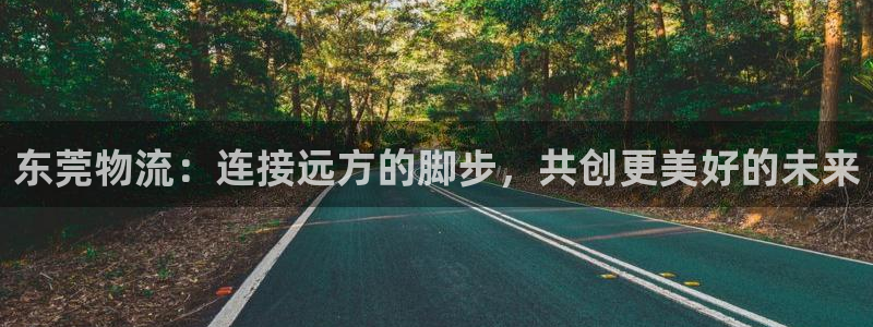 狗子28返水怎么算的:东莞物流:连接