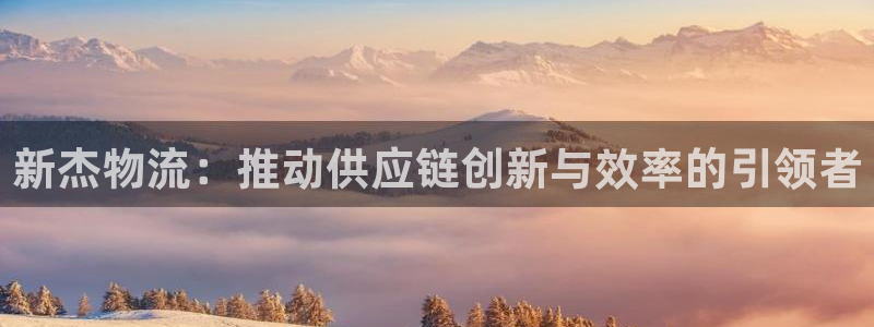 狗子28相信品牌的力量：新杰物流：推