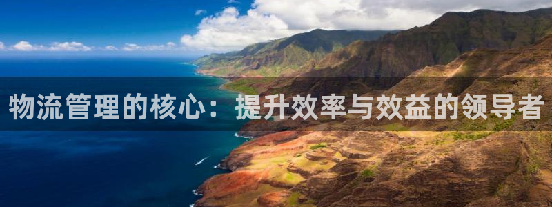 狗子28登录网：物流管理的核心：提升